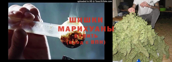 apvp Алексин