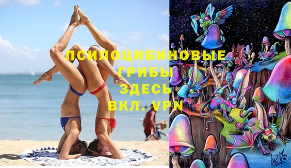 apvp Алексин